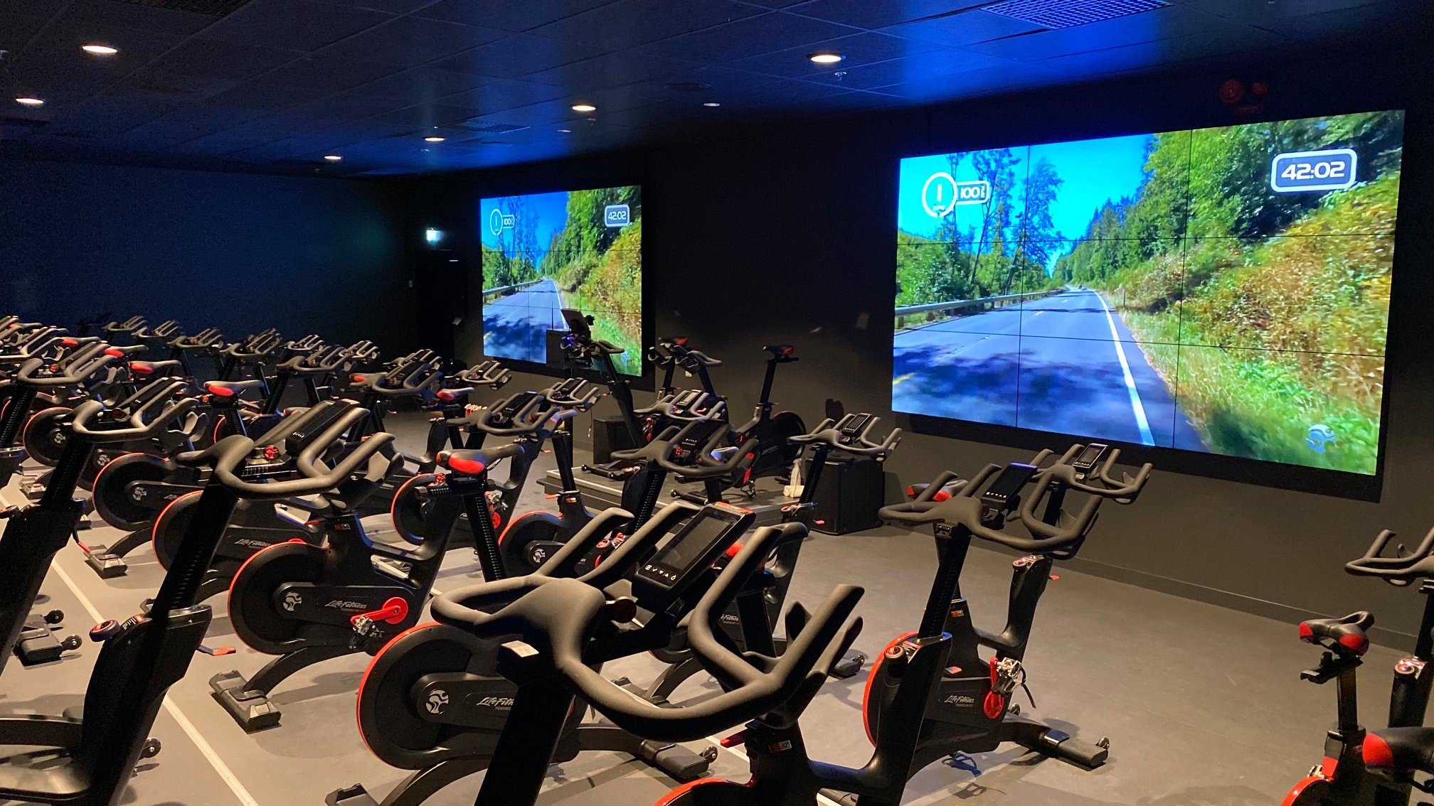 The Brick Gym not just another brick in the wall!