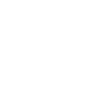 Sparegris_icon